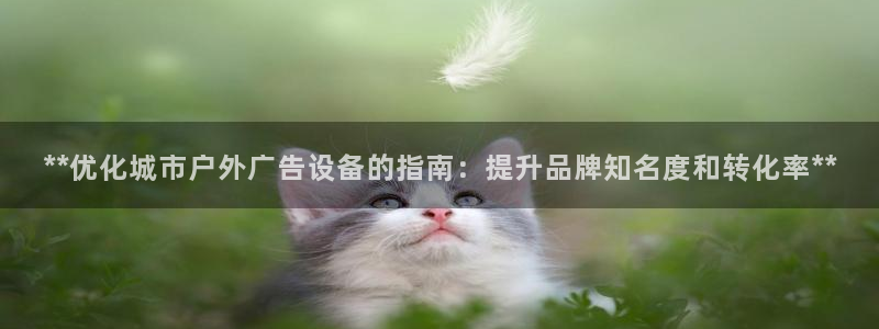 杏宇平台代理多少钱一个月