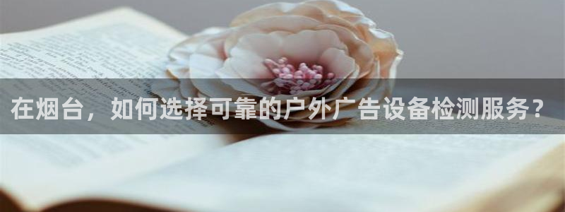 杏宇代理注册