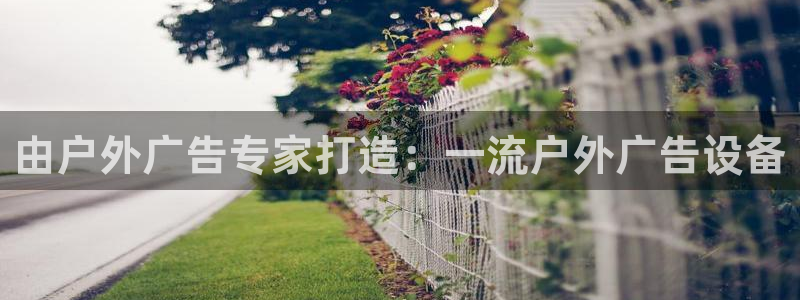 杏宇官方平台官网入口
