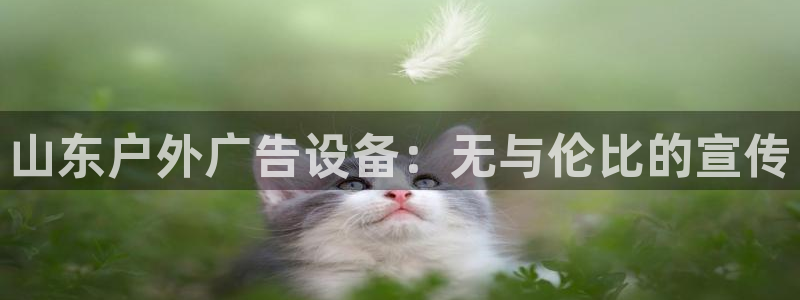 杏宇平台代理多少钱