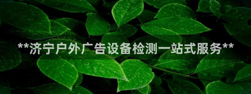 杏宇平台怎么样知乎