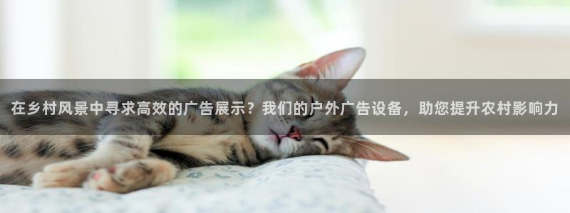 杏宇平台招商电话号码
