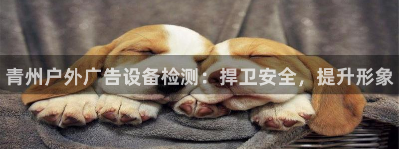 杏宇平台总代理是谁