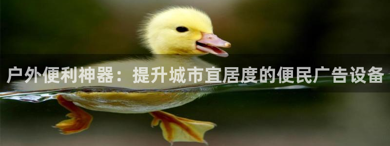 杏宇平台登陆