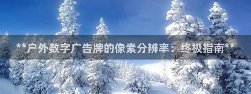 杏宇平台主管