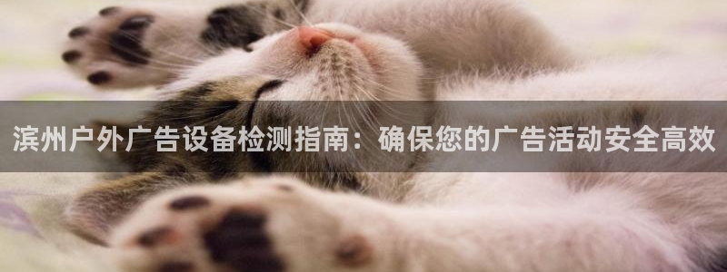 杏宇平台官网注册