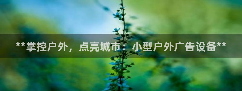 杏宇平台开户