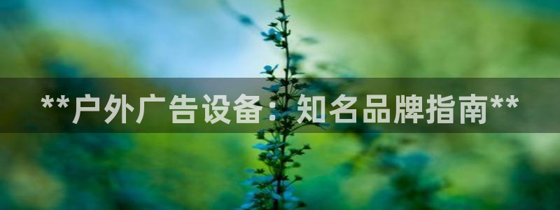 杏宇平台代理怎么样啊