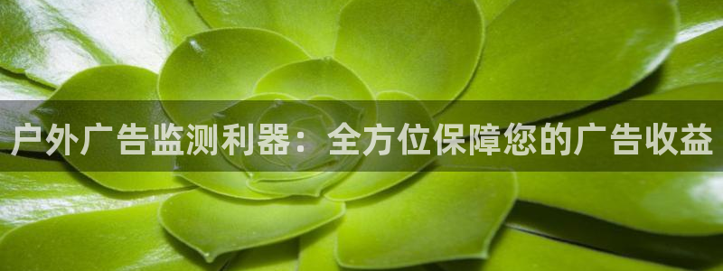 杏宇平台怎么样知乎