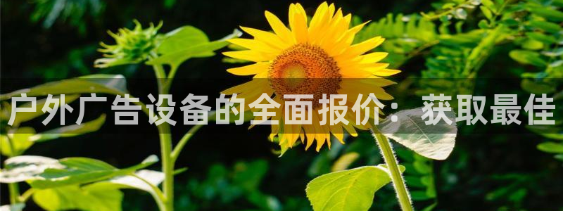 杏宇平台客服