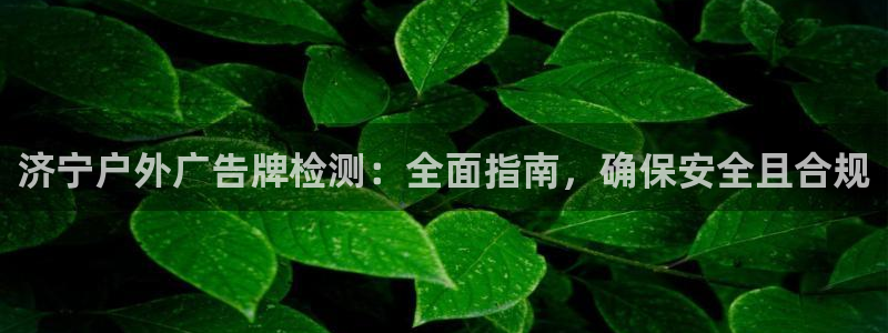 杏宇平台好吗