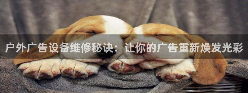 杏宇平台怎么样赚钱