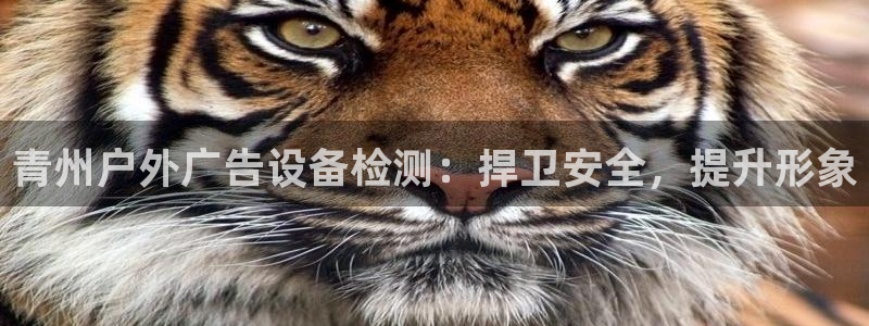 杏宇平台提现为什么这么久呢