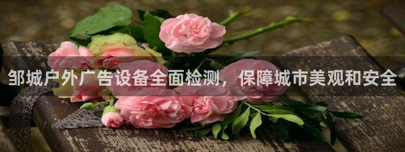 杏宇平台招商