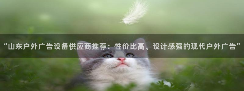 杏宇平台怎么样知乎：“山东户外广告设备供