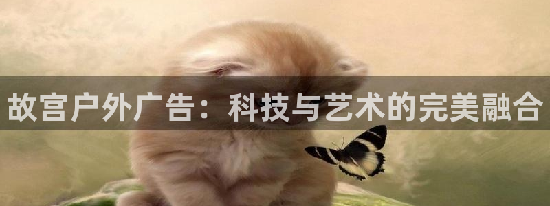 杏宇平台代理多少钱一个月：故宫户外广告：