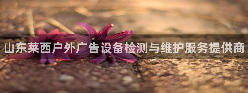杏宇平台代理怎么赚钱：山东莱西户外广告设