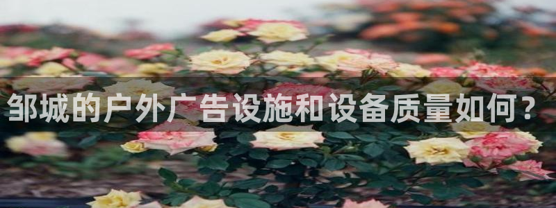 杏宇官方平台官网入口：邹城的户外广告设施