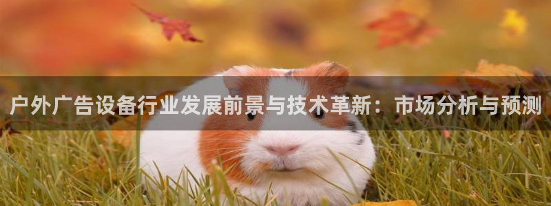 杏宇平台代理怎么赚钱：户外广告设备行业发