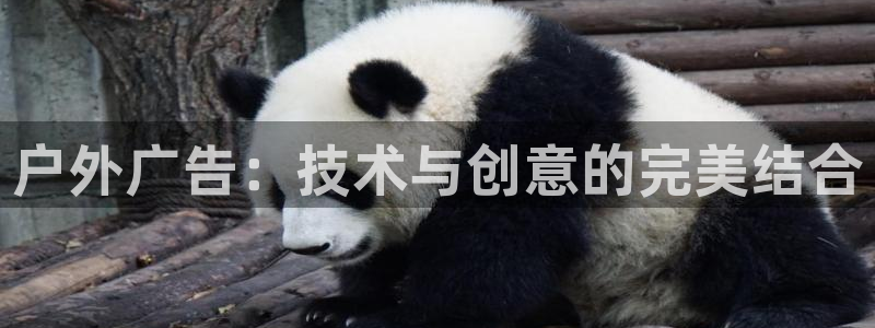 杏宇平台登录步骤是什么：户外广告：技术与