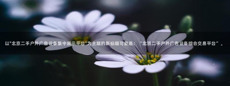 杏宇平台测速链接