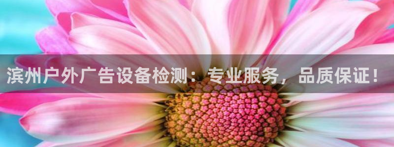 杏宇平台注册登录：滨州户外广告设备检测：