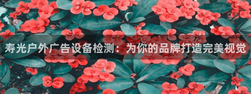 杏宇平台登陆：寿光户外广告设备检测：为你