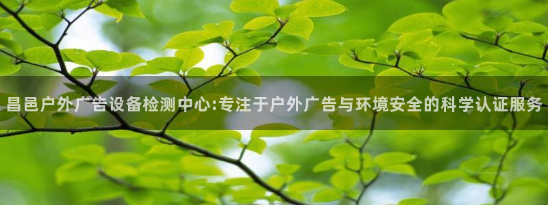 杏宇平台登录步骤：昌邑户外广告设备检测中