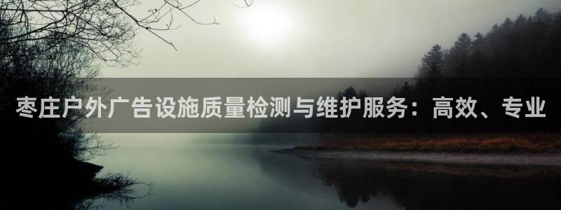 杏宇平台测速链接：枣庄户外广告设施质量检测与维护服务：高效、专业