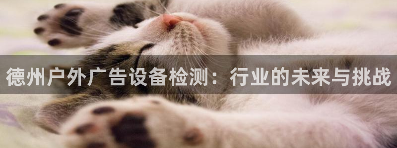 杏宇平台注册登录：德州户外广告设备检测：行业的未来与挑战