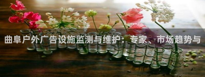 杏宇平台代理怎么赚钱快：曲阜户外广告设施