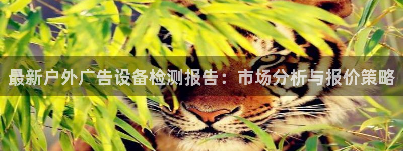 杏宇平台是什么：最新户外广告设备检测报告