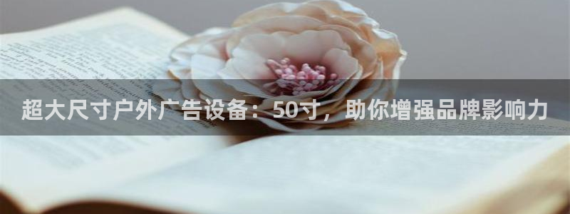 杏宇平台登陆：超大尺寸户外广告设备：50