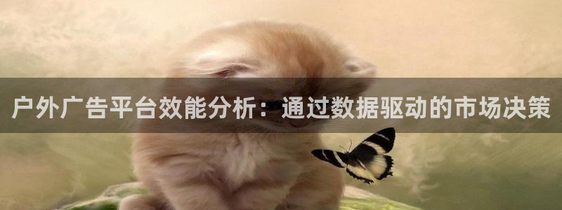 杏宇平台登录步骤图：户外广告平台效能分析