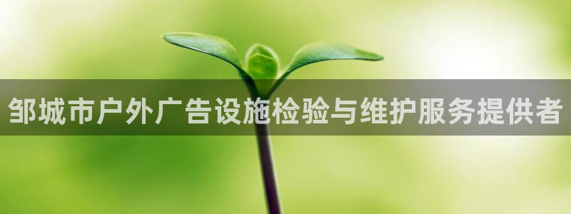 杏宇平台测速链接