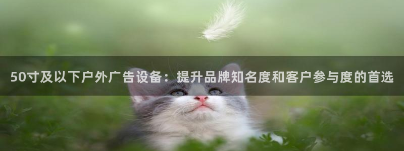 杏宇平台是什么：50寸及以下户外广告设备